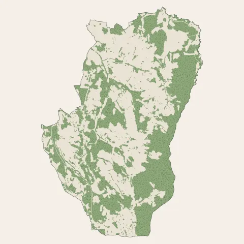 Cosnac : bois, forêts et landes