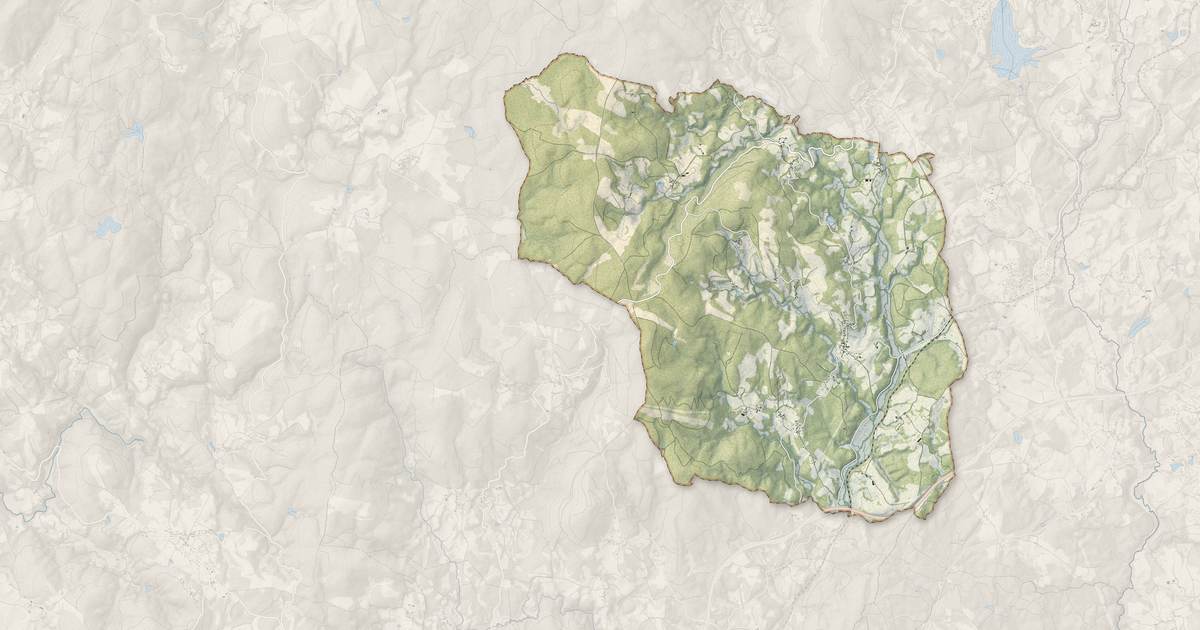 Portrait cartographique de Davignac : relief, eau, forêts, bâti et voies, calculés à partir des données de l'IGN