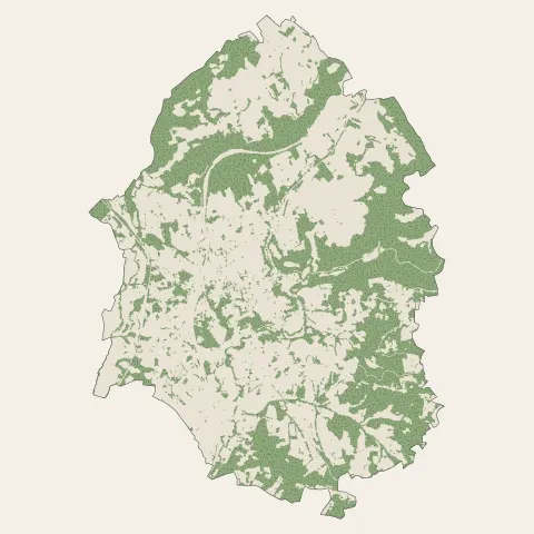 Donzenac : bois, forêts et landes
