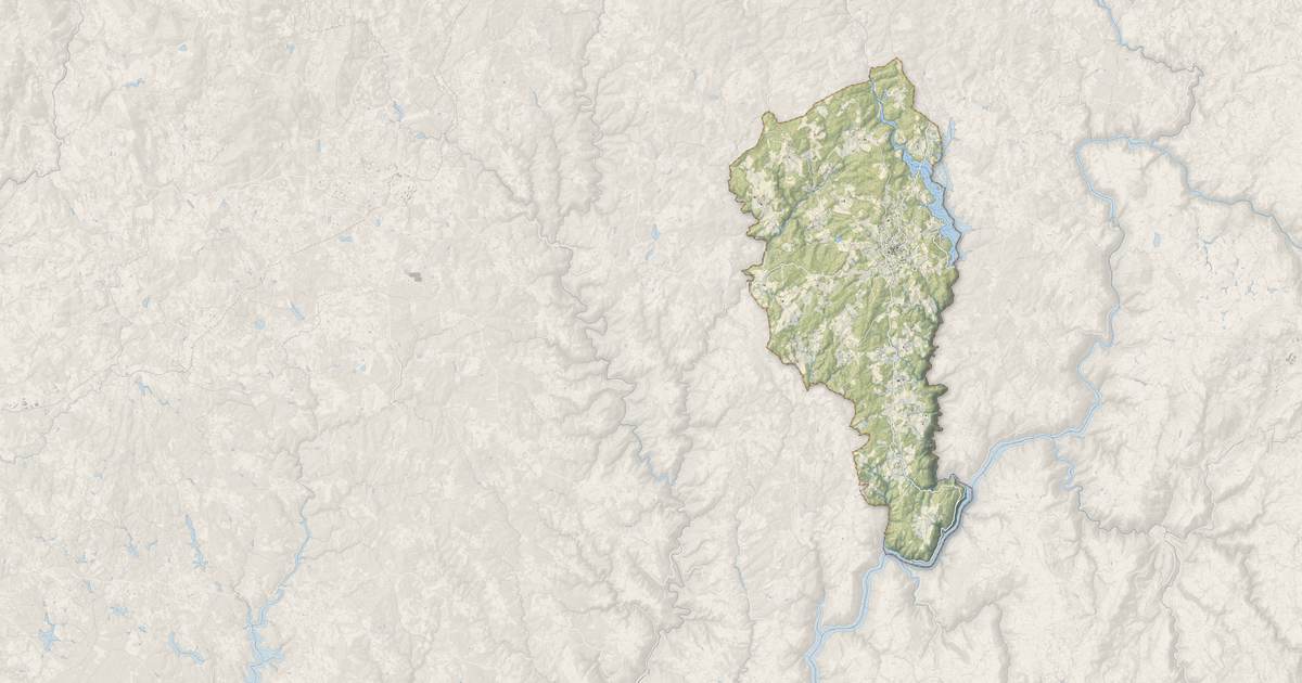Portrait cartographique de Neuvic : relief, eau, forêts, bâti et voies, calculés à partir des données de l'IGN