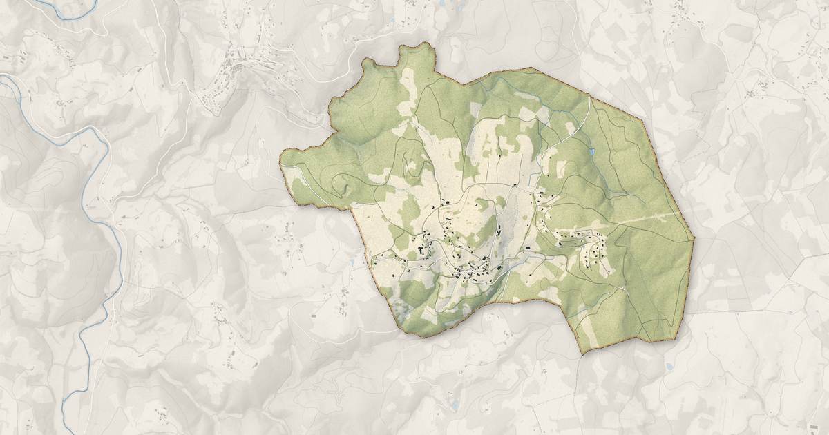 Portrait cartographique de Palazinges : relief, eau, forêts, bâti et voies, calculés à partir des données de l'IGN