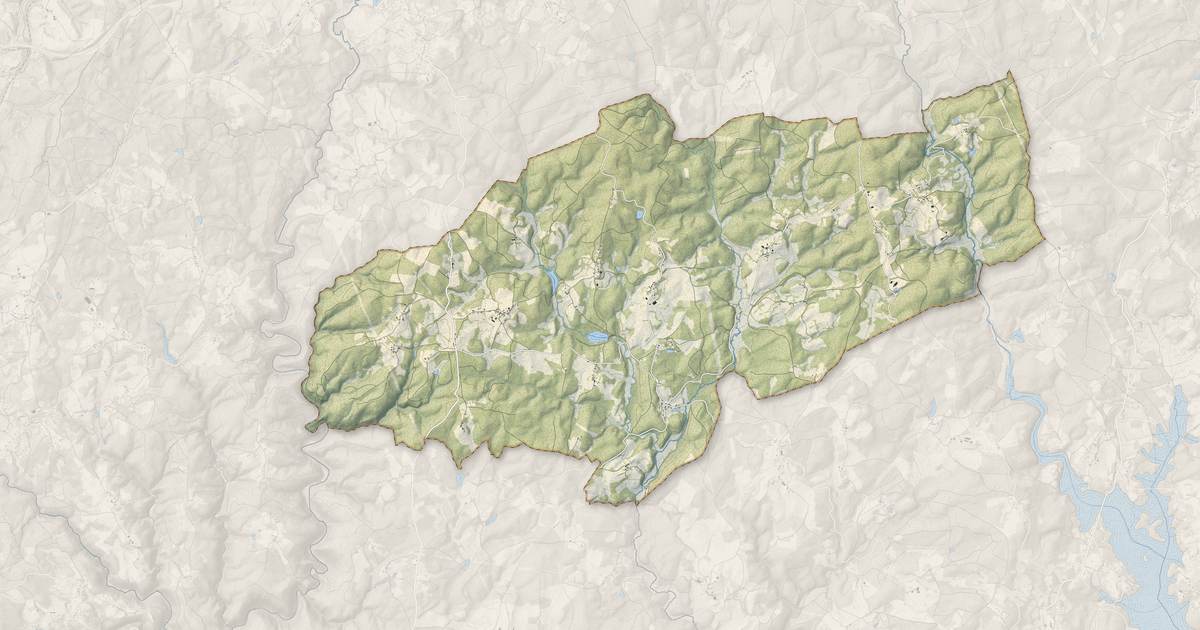 Portrait cartographique de Palisse : relief, eau, forêts, bâti et voies, calculés à partir des données de l'IGN