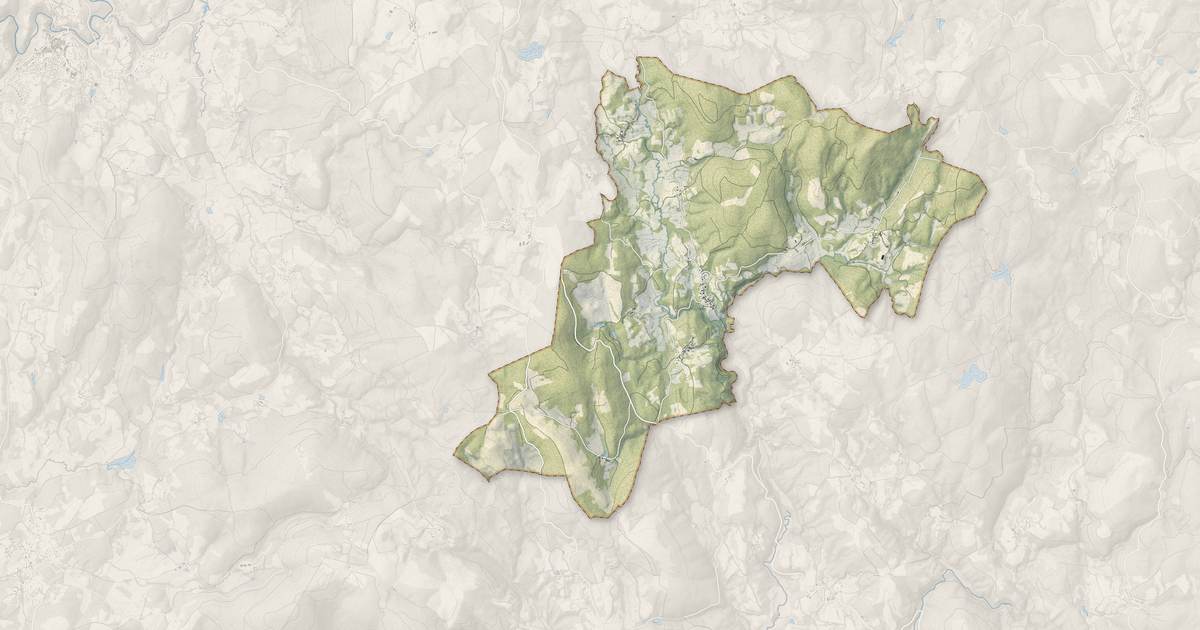 Portrait cartographique de Pradines : relief, eau, forêts, bâti et voies, calculés à partir des données de l'IGN