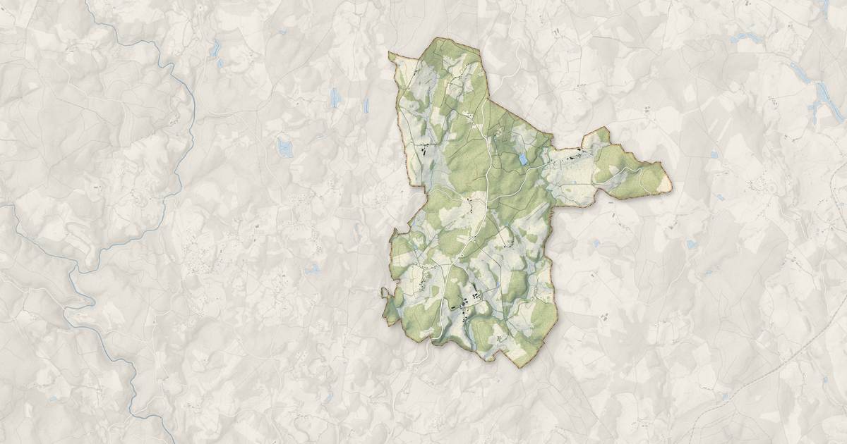 Portrait cartographique de Saint-Pardoux-le-Neuf : relief, eau, forêts, bâti et voies, calculés à partir des données de l'IGN
