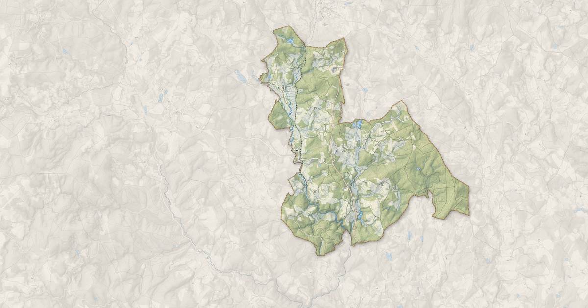 Portrait cartographique de Saint-Rémy : relief, eau, forêts, bâti et voies, calculés à partir des données de l'IGN