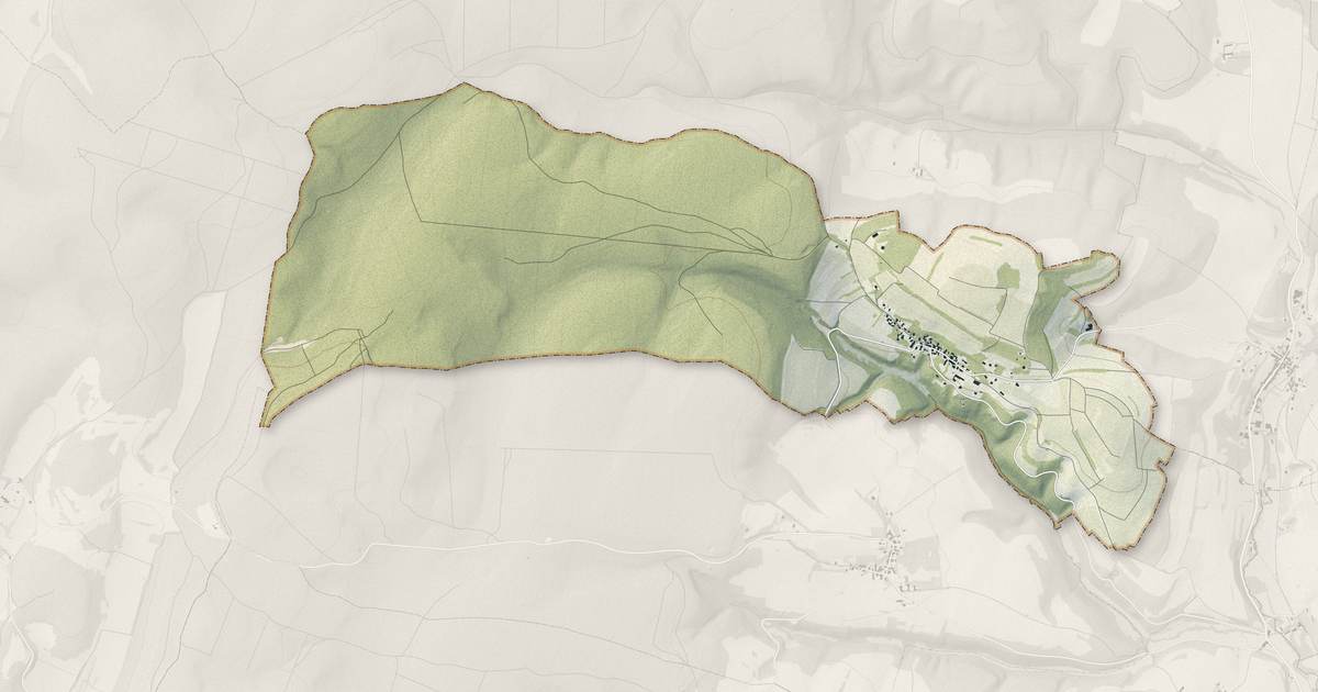 Portrait cartographique de Bévy : relief, eau, forêts, bâti et voies, calculés à partir des données de l'IGN