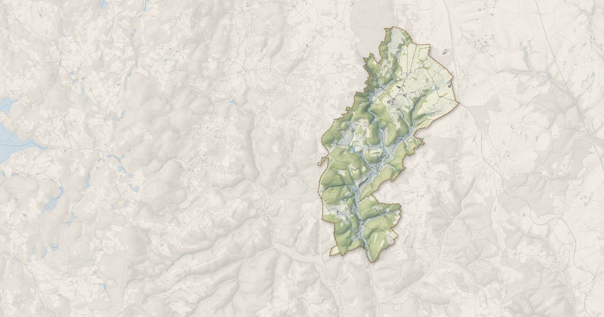 Portrait cartographique de Blanot : relief, eau, forêts, bâti et voies, calculés à partir des données de l'IGN