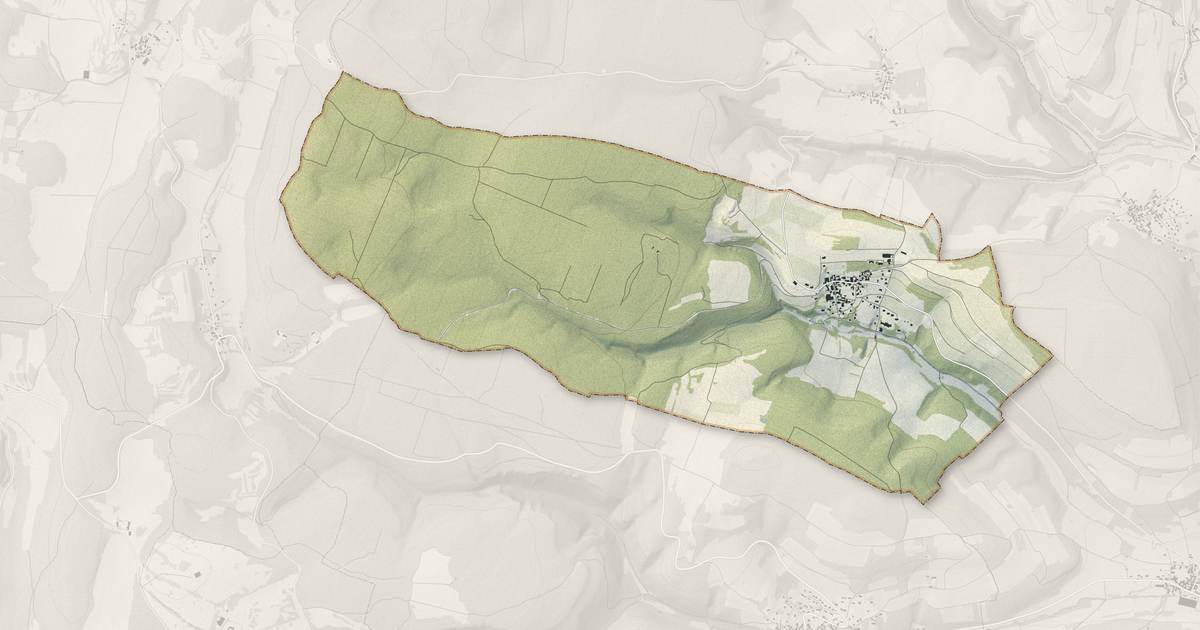 Portrait cartographique de Chevannes : relief, eau, forêts, bâti et voies, calculés à partir des données de l'IGN