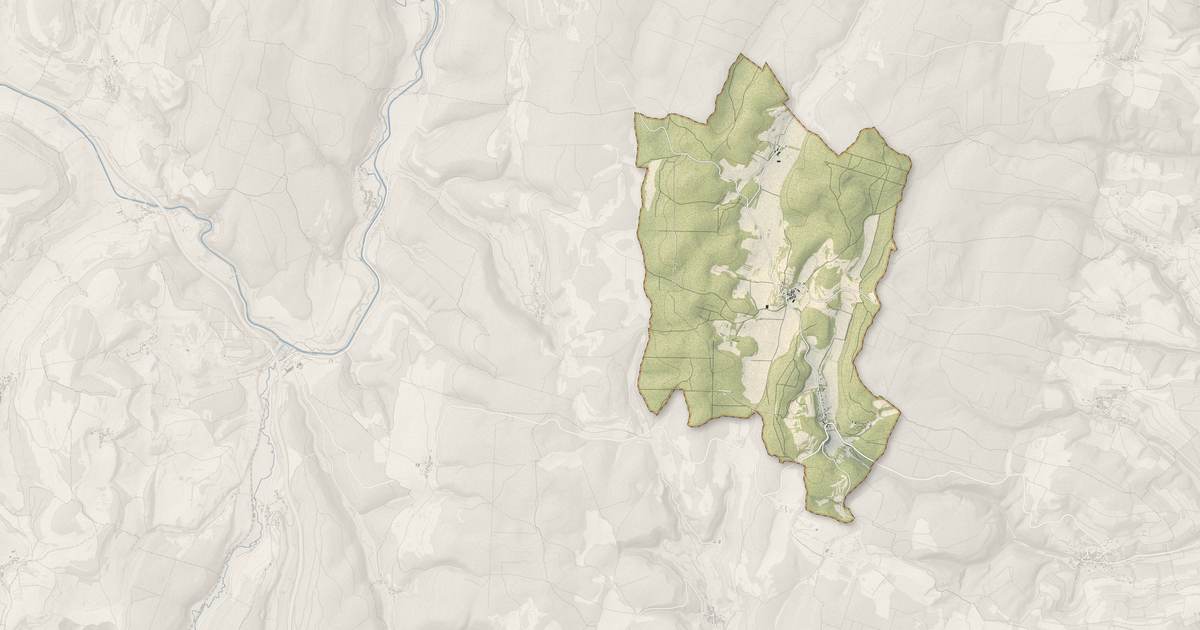 Portrait cartographique de Détain-et-Bruant : relief, eau, forêts, bâti et voies, calculés à partir des données de l'IGN