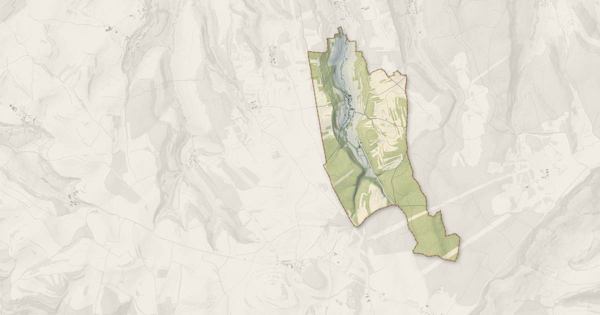 Portrait cartographique de Drée : relief, eau, forêts, bâti et voies, calculés à partir des données de l'IGN