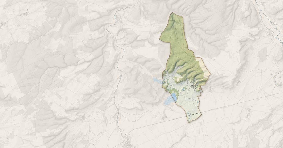 Portrait cartographique de Larrey : relief, eau, forêts, bâti et voies, calculés à partir des données de l'IGN