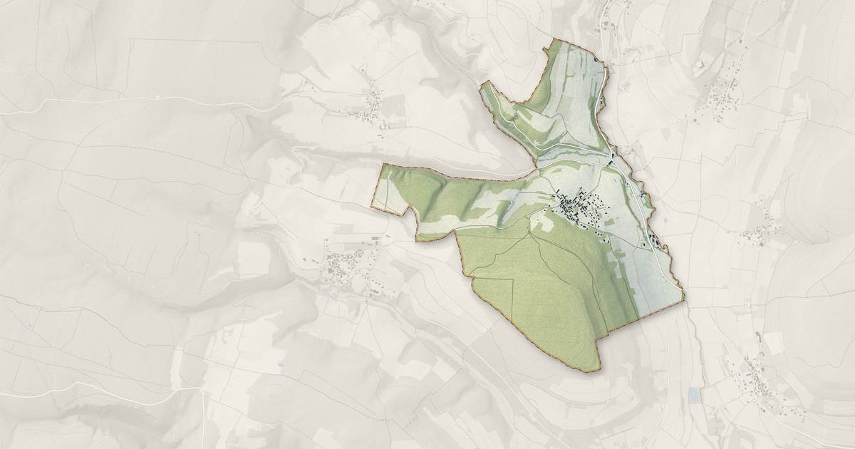 Portrait cartographique de Messanges : relief, eau, forêts, bâti et voies, calculés à partir des données de l'IGN