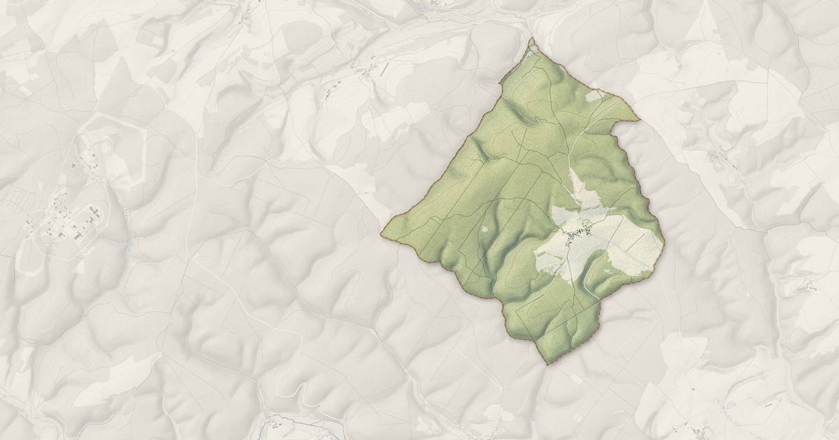 Portrait cartographique de Poiseul-lès-Saulx : relief, eau, forêts, bâti et voies, calculés à partir des données de l'IGN