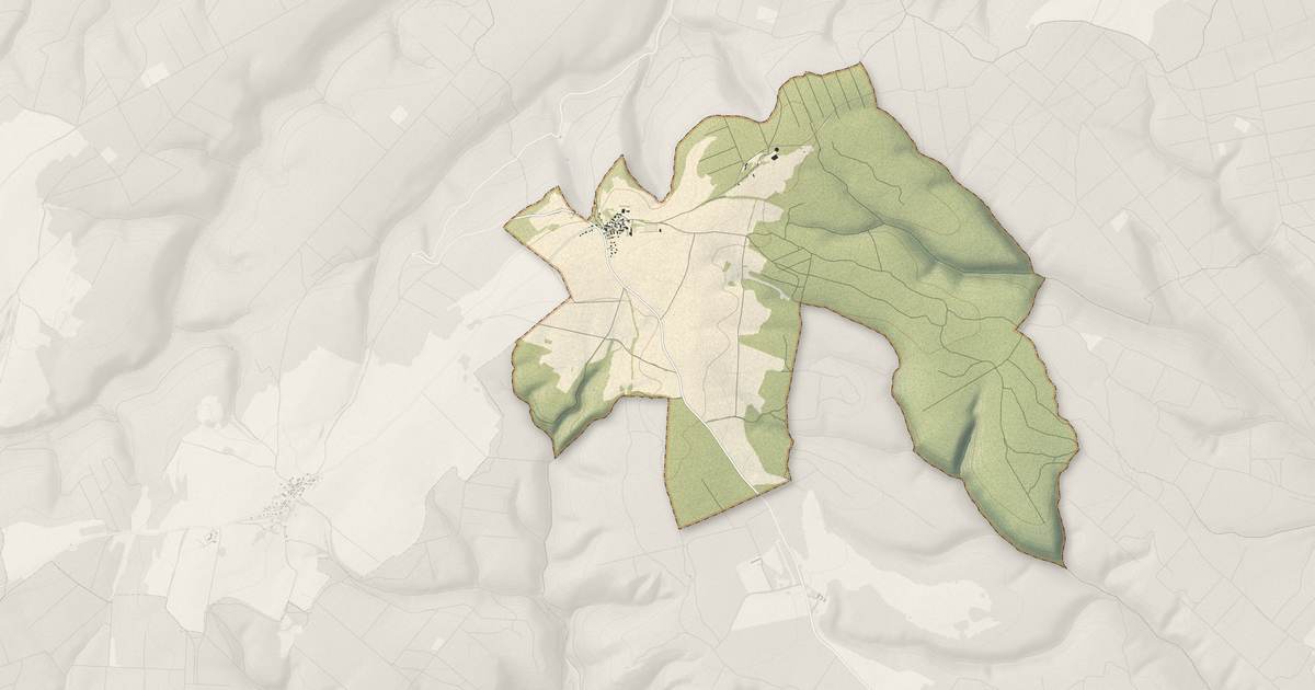 Portrait cartographique de Saussy : relief, eau, forêts, bâti et voies, calculés à partir des données de l'IGN
