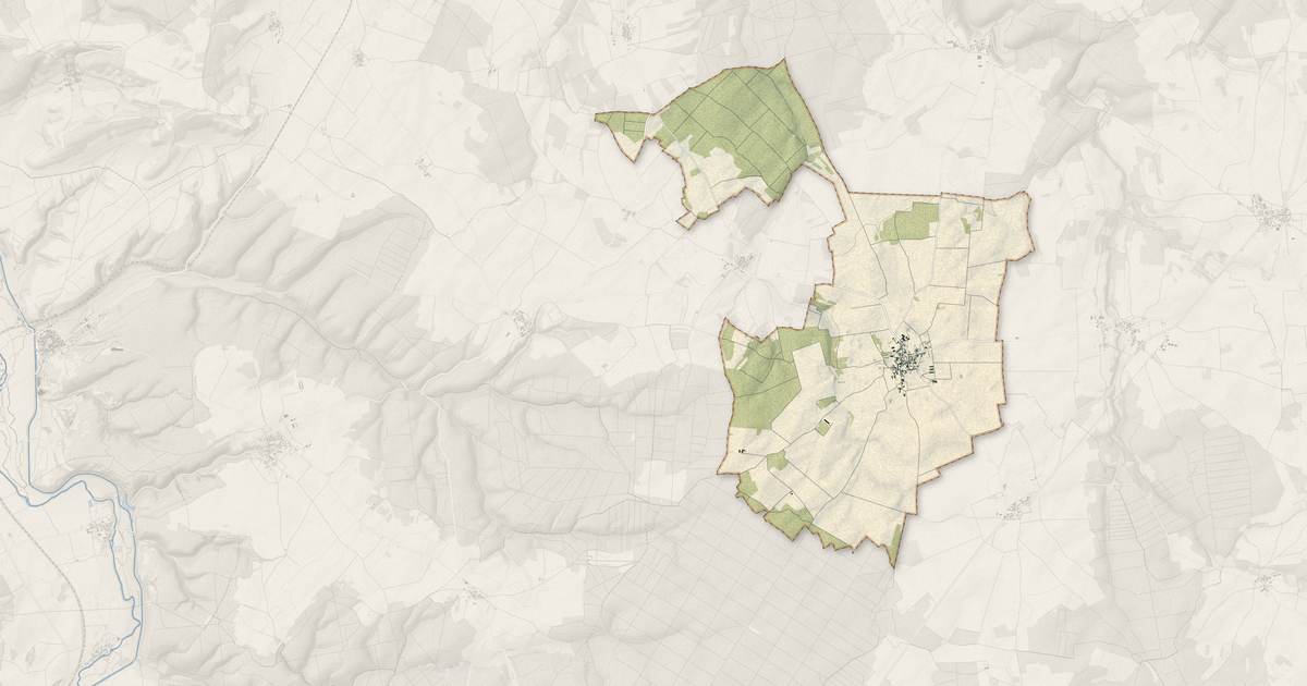 Portrait cartographique de Savoisy : relief, eau, forêts, bâti et voies, calculés à partir des données de l'IGN