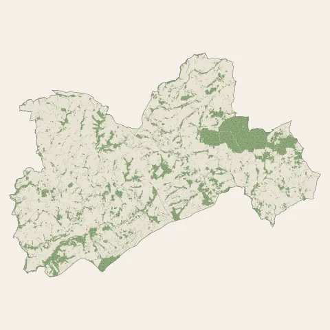 Le Mené : bois, forêts et landes