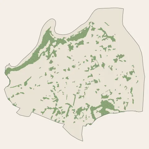 Tréguier : bois, forêts et landes