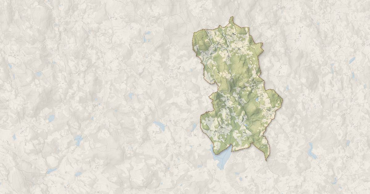 Portrait cartographique de Lépinas : relief, eau, forêts, bâti et voies, calculés à partir des données de l'IGN