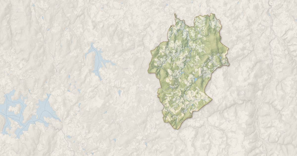 Portrait cartographique de La Nouaille : relief, eau, forêts, bâti et voies, calculés à partir des données de l'IGN