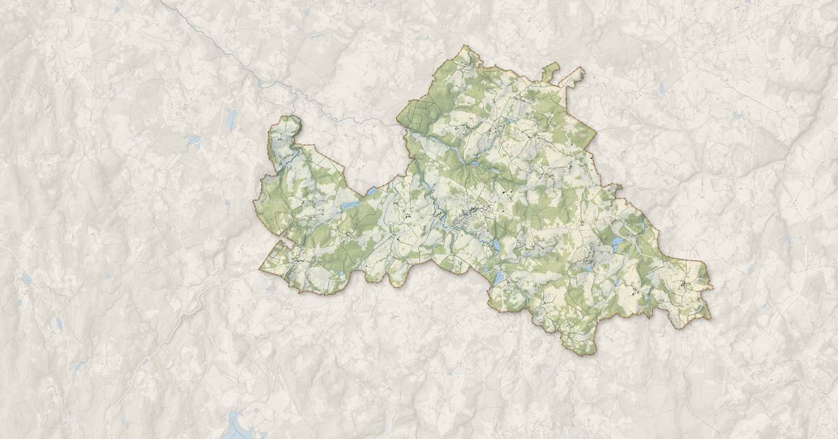 Portrait cartographique de Vallière : relief, eau, forêts, bâti et voies, calculés à partir des données de l'IGN