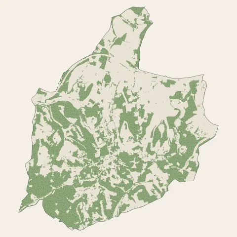 Coursac : bois, forêts et landes