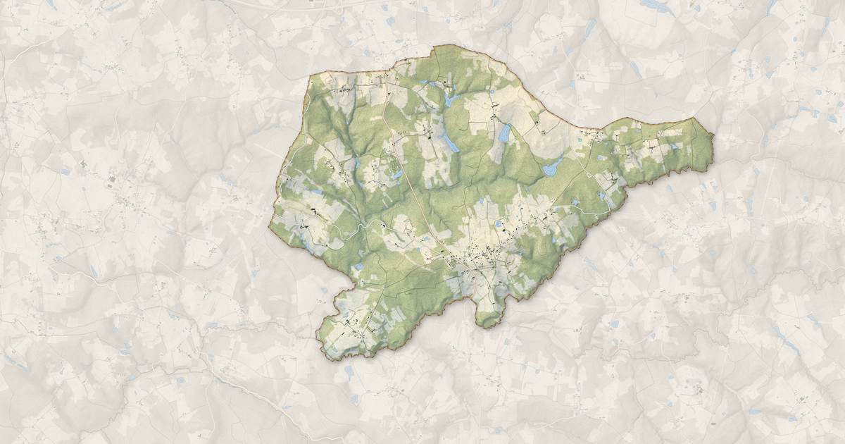 Portrait cartographique de Saint-Rémy : relief, eau, forêts, bâti et voies, calculés à partir des données de l'IGN