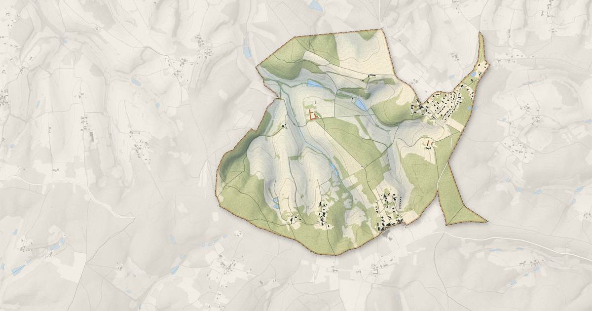 Portrait cartographique de Segonzac : relief, eau, forêts, bâti et voies, calculés à partir des données de l'IGN