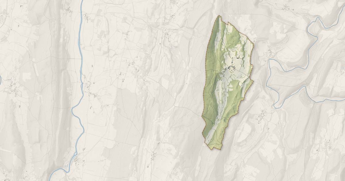 Portrait cartographique de Bartherans : relief, eau, forêts, bâti et voies, calculés à partir des données de l'IGN