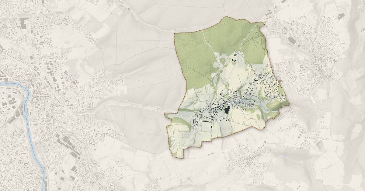 Portrait cartographique de Dasle : relief, eau, forêts, bâti et voies, calculés à partir des données de l'IGN