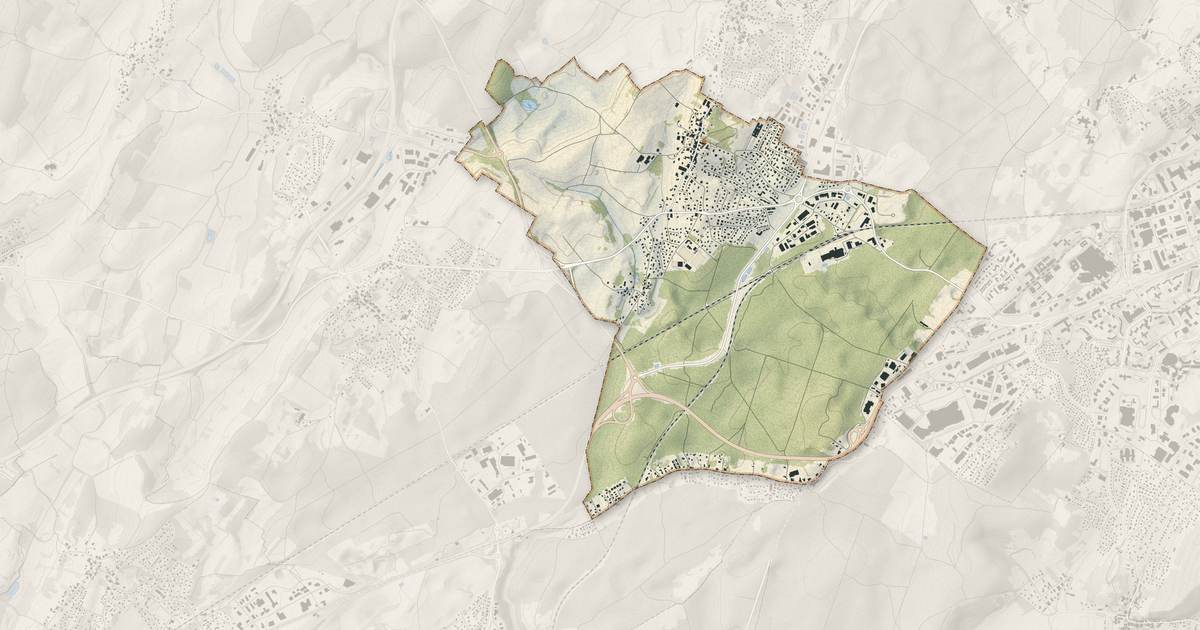 Portrait cartographique de Franois : relief, eau, forêts, bâti et voies, calculés à partir des données de l'IGN