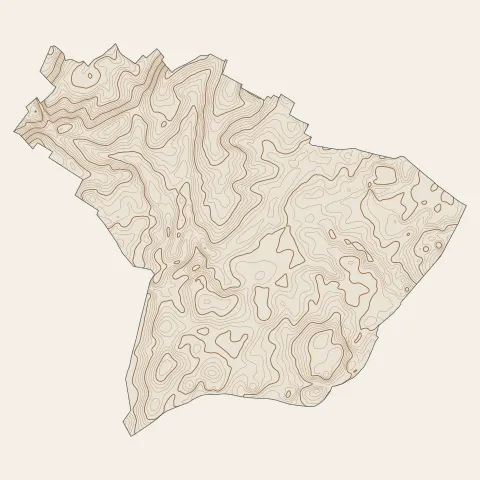 Franois : courbes de niveau