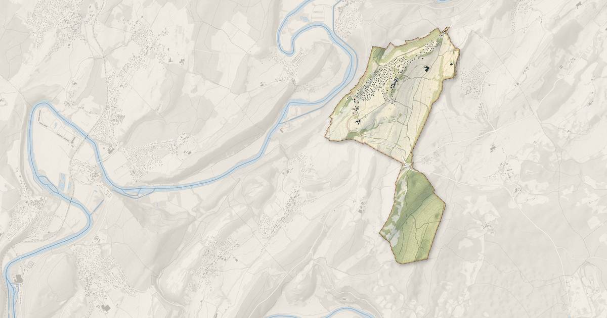 Portrait cartographique de Larnod : relief, eau, forêts, bâti et voies, calculés à partir des données de l'IGN