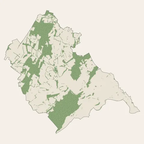Morteau : bois, forêts et landes