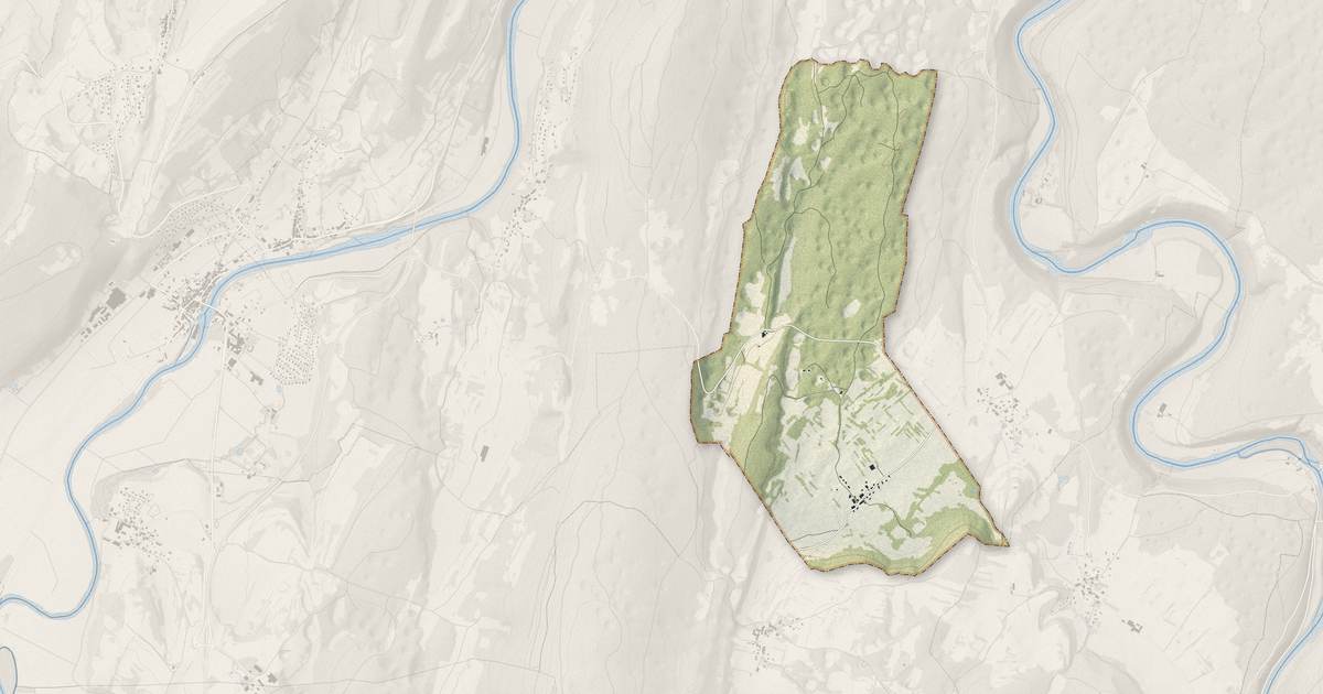 Portrait cartographique de Palantine : relief, eau, forêts, bâti et voies, calculés à partir des données de l'IGN