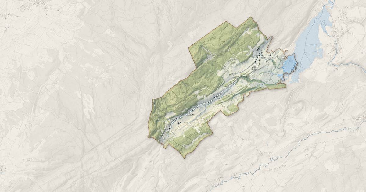 Portrait cartographique de Remoray-Boujeons : relief, eau, forêts, bâti et voies, calculés à partir des données de l'IGN