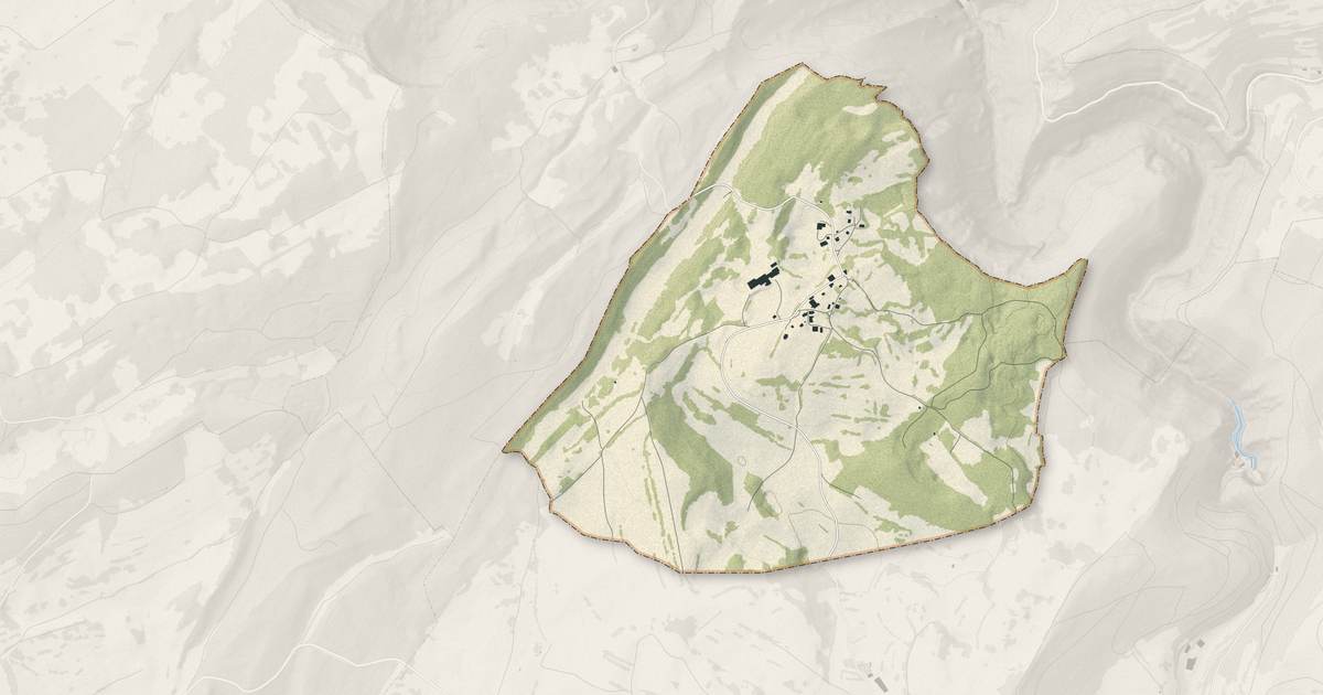 Portrait cartographique de Renédale : relief, eau, forêts, bâti et voies, calculés à partir des données de l'IGN