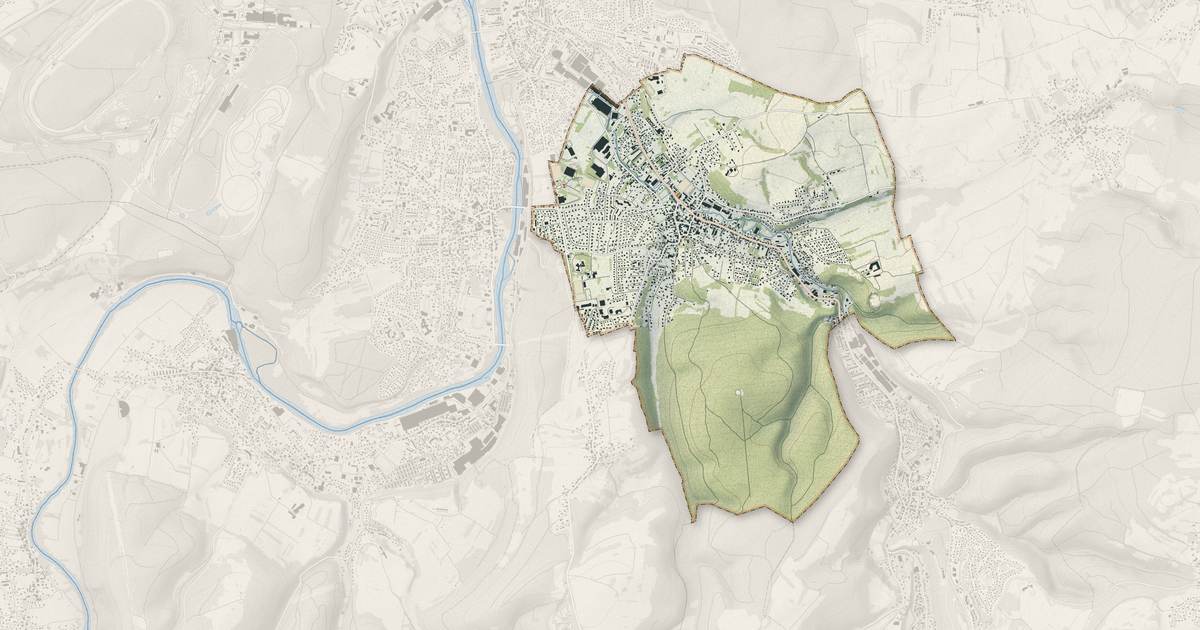 Portrait cartographique de Seloncourt : relief, eau, forêts, bâti et voies, calculés à partir des données de l'IGN