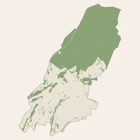Thise : bois, forêts et landes