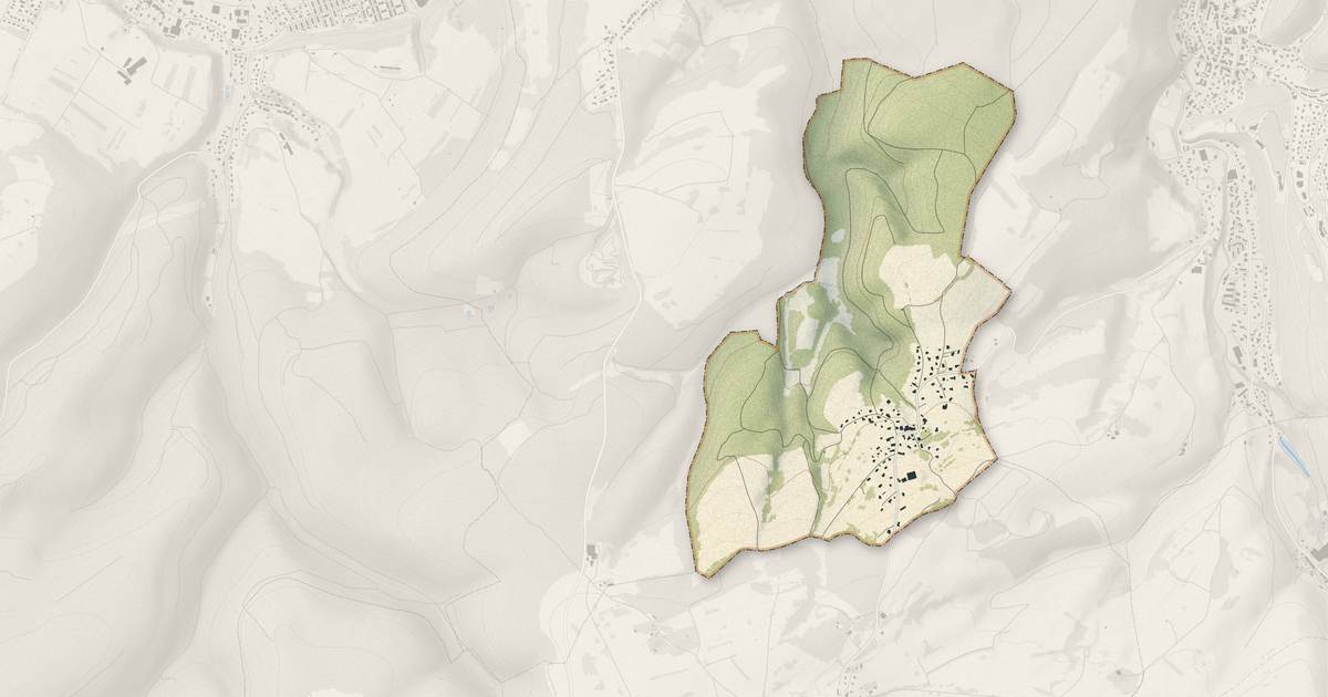 Portrait cartographique de Thulay : relief, eau, forêts, bâti et voies, calculés à partir des données de l'IGN