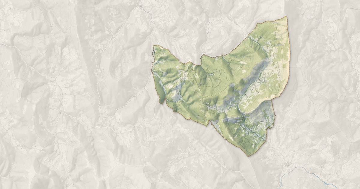 Portrait cartographique de Chalancon : relief, eau, forêts, bâti et voies, calculés à partir des données de l'IGN
