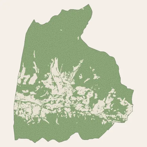 Dieulefit : bois, forêts et landes