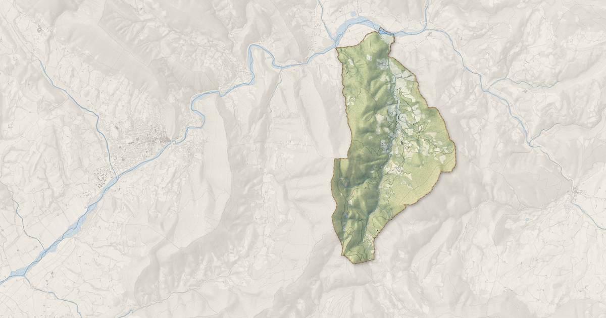 Portrait cartographique de Montaulieu : relief, eau, forêts, bâti et voies, calculés à partir des données de l'IGN