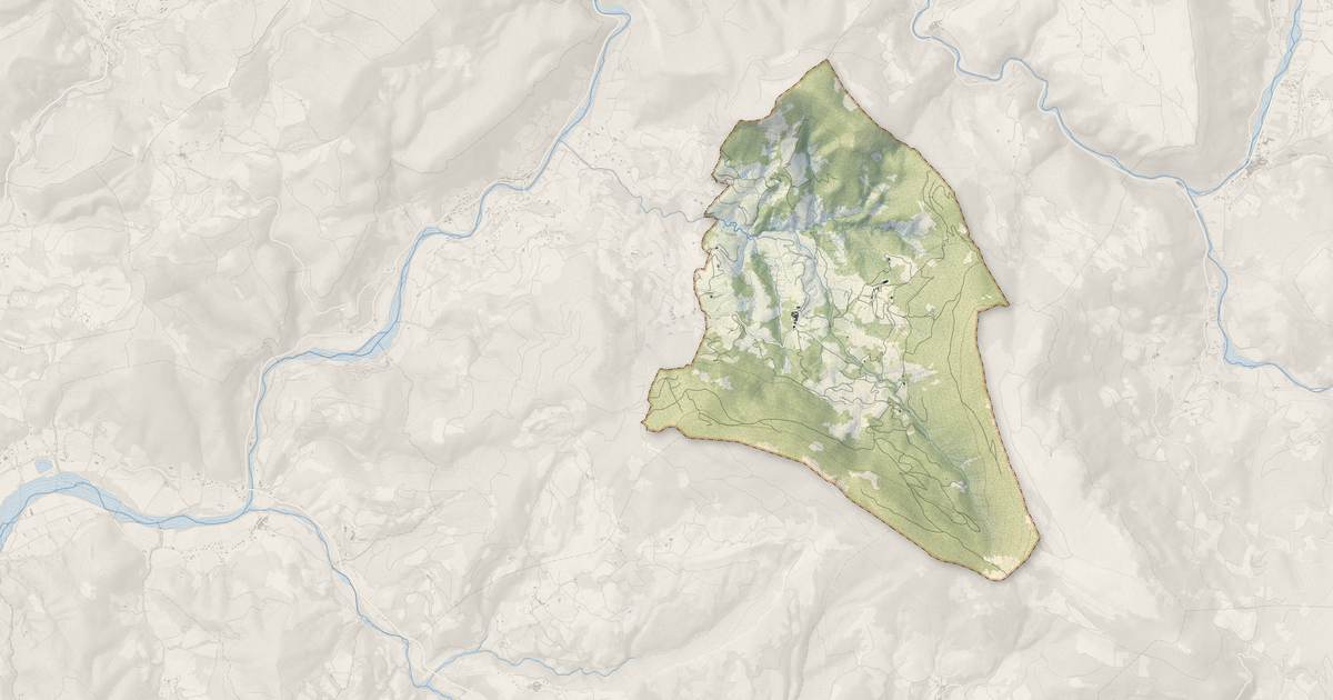Portrait cartographique de Montréal-les-Sources : relief, eau, forêts, bâti et voies, calculés à partir des données de l'IGN