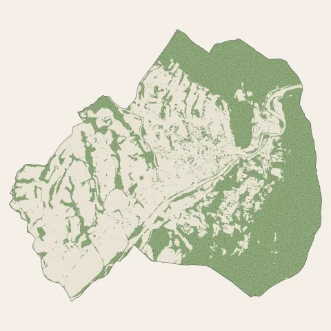 Nyons : bois, forêts et landes
