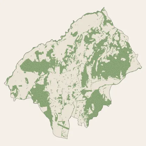 Peyrins : bois, forêts et landes