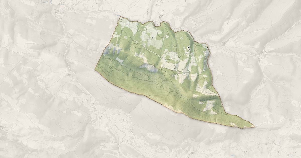 Portrait cartographique de Rioms : relief, eau, forêts, bâti et voies, calculés à partir des données de l'IGN
