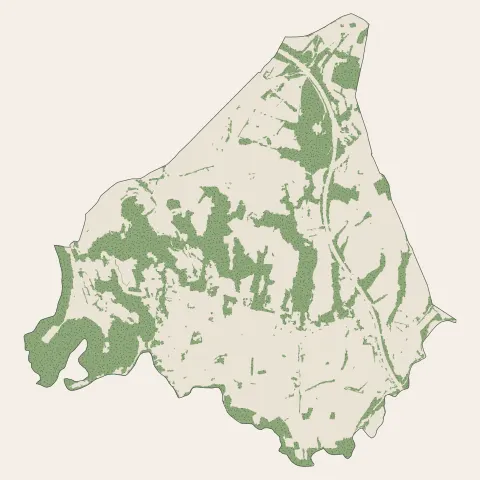 Saint-Uze : bois, forêts et landes