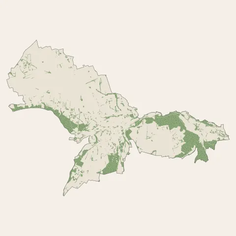 Bernay : bois, forêts et landes