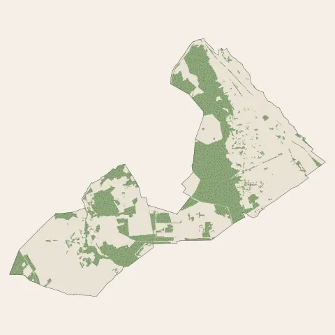 La Chapelle-Longueville : bois, forêts et landes