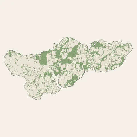 Bénodet : bois, forêts et landes